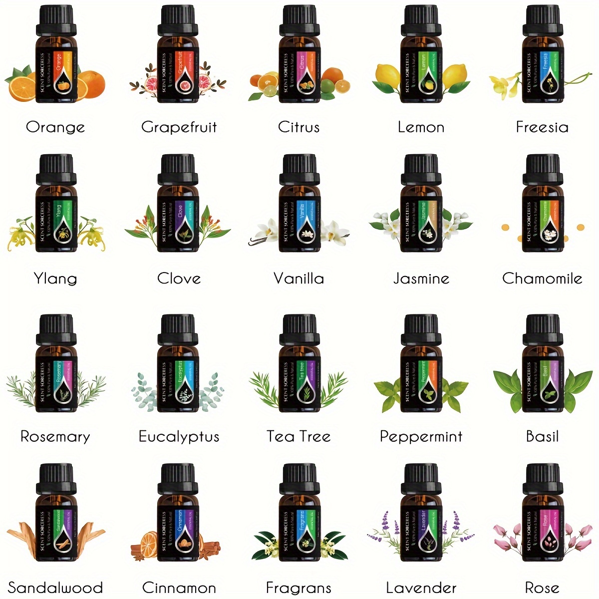 20pcs/set Essential Oil Set La - مراجعة Fragrance Oil Set وسعره