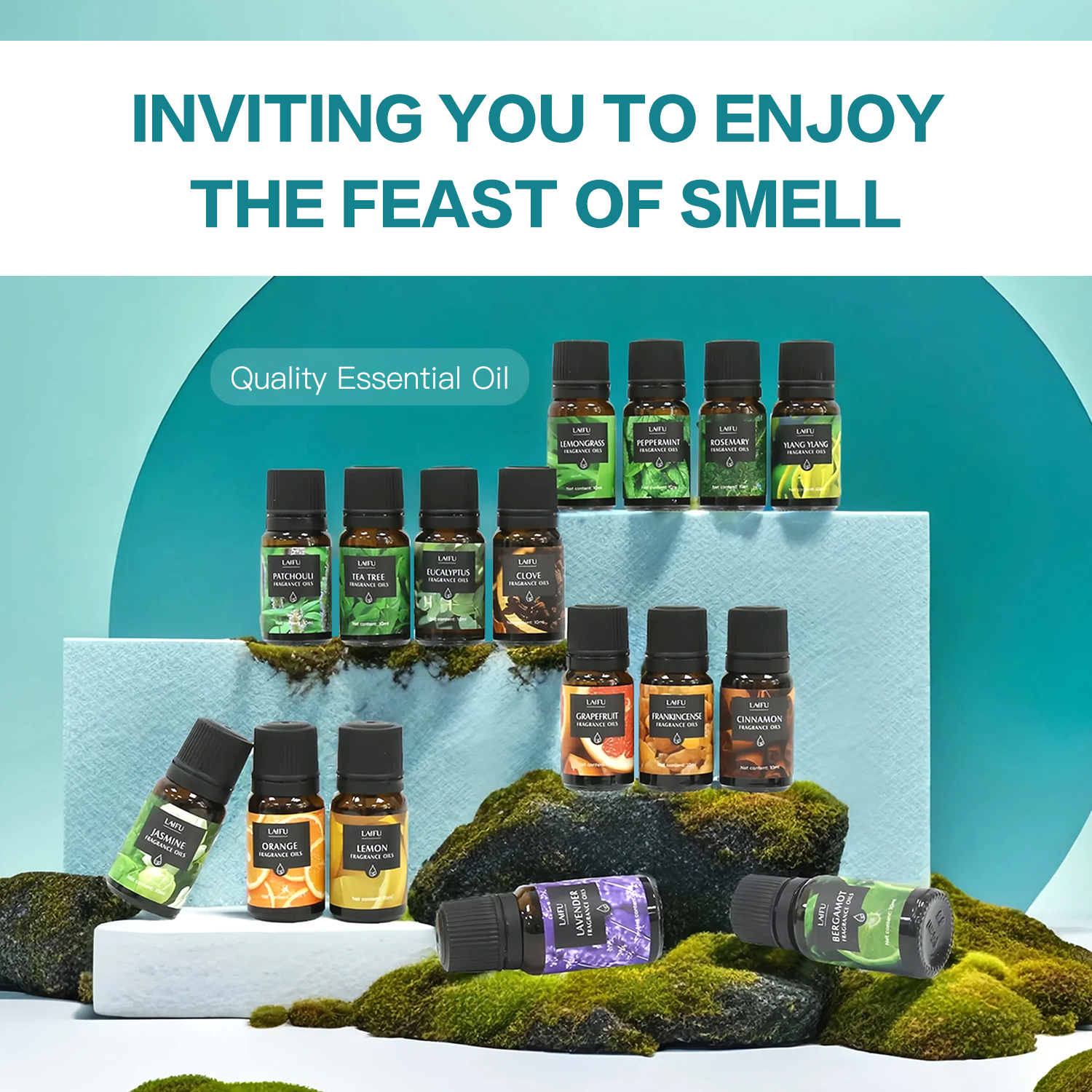 16x10ml Essential Oils Set for - مراجعة Home Fragrance Potpourri وسعره